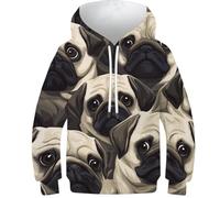 DNAVSOETR 3D Print Pug Sweatshirt Teen Girl Boy Puppy Sweatshirt Sweatshirt Pocket Pullover Hoodie for 11-13Y