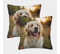 DNAVSOETR Golden Retriever Cushion Covers Set of 2 Washable Square Pillow Cover with Invisible Zipper for Home Sofa Bedroom Living Room Outdoor Garden Car 45x45cm