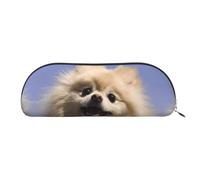 DNBCLEZK Cute Pomeranian Leather Pencil Case for Girls Boys,Print Cute Personalised Pencil Case Stationery Storage Bags
