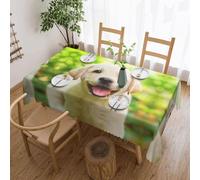 DNBCLEZK Funny Labrador Puppy Dog Square Tablecloth 54x72 Inch Waterproof Polyester Table Cloth With Lace Edge,Wrinkle Resistant Washable Fabric For Dining Table
