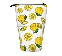 DNBCLEZK Lemon Fruit Pattern Expandable Pencil Case,Oxford-Fabric Telescopic Pencil Pouch with Zipper, Portable Multifunctional Stationery Bag