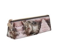 DNBCLEZK Sleeping Cat Cute Leather Triangular Pencil Case,Premium Smooth Zipper Durable Metal Puller,Full-Print Designer Stationery Organizer for School Office