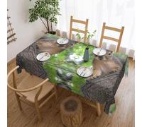 DNBCLEZK Squirrel In The Tree Square Tablecloth 54x72 Inch Waterproof Polyester Table Cloth With Lace Edge,Wrinkle Resistant Washable Fabric For Dining Table