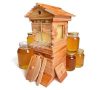 DNEPEI Flow Hive Style Beekeeping Starter Kit, Wooden Beehive with 4 Automatic Honey Frames & 6 Brood Frames, Clear Observation Window & Easy-Release Honey Spout, Perfect for Backyard Honey Harvest