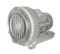 DNEPEI Multi-Use High Pressure Vortex Blower, Regenerative Ring Pump, Single Phase for Sewage Aeration, Aquarium, Fish Pond & Industrial Vacuum (0.16HP-2HP) 220伏-750瓦/1.01马力