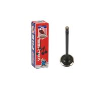 DNJ EV1176 Exhaust Valve For 14-17 Ram ProMaster 1500, ProMaster 2500, ProMaster 3500 3.0L L4 DOHC Turbocharged EXG