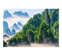 dnldliq 10x8ft Nature Mountain Forest Backdrop, Scenic Green Pine Tree Landscape Background for Home Office Dorm Decoration