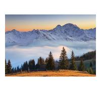 dnldliq 7x5ft Nature Mountain Forest Backdrop, Scenic Pine Tree Landscape Background for Home Office Dorm Decoration