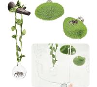 Dnoifne Jumping Spider Enclosure Accessories Kit - Glass Ball Hideout with Green Rope, Magnetic Artificial Branch, and 2 Green Moss Platforms - Ideal Jump Spider Habitat Decor