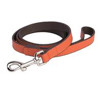 DO & G Leather Collection Dog Lead, Orange Tan | Genuine Leather, Strong Metal Clip, Comfortable Grip, Durable Construction, Suitable for Everyday Walks