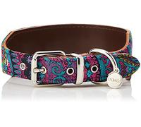 DO & G Oriental Silks Unique Leather and Dog Collar, Paisley Style