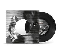 Do I Have Your Attention? / the Broken [VINYL]