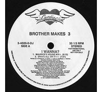 Do it anyway you wanna [VINYL]