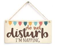 Do Not Disturb I'm Napping - Quiet Please Nap Bunting Home Accessory Gift Sign