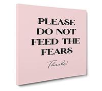 Do Not Feed the Fears Modern Typography Quote Canvas Print | Gallery Wrapped 30mm Frame Wall Art | 20x20 inches | Ready to Hang | Modern Typography Picture | Living Room Bedroom Lounge Office