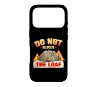 Do not relocate the loaf Case for iPhone 17 Pro