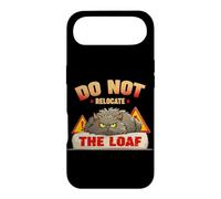 Do not relocate the loaf Case for iPhone Air