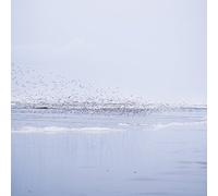 Do Re Mi Fon Fon [FLAU65]