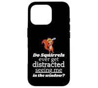 Do Squirrels Ever Get Distracted Seeing Me In The Window? Case for iPhone 16 Pro