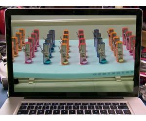 Do Try This At Home? / Extreme Extinguishing