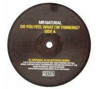 Do You Feel What I'm Thinking? [12" VINYL]