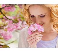 Do You Have 5 Independent Senses?