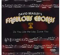 David Beasley's Fabulous Ebonys - Do You Like the Way I Love You