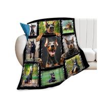 Doberman Blanket for Dog Lover Doberman Dog Fleece Throw Blanket for Couch Super Soft Cozy Bed Blanket Lightweight Plush Fuzzy Blankets and Throws for Sofa 40"x50"