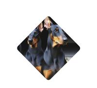 Doberman Car Air Fresheners 6 Pcs, Funny Hanging Car Air Fresheners Cute Long Lasting Scented Mirror Hanging Decoration Ornaments Gift Interior Decor Accessories For Men Women