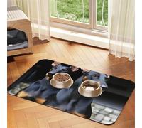 Doberman Dog Food Mats for Floors, 16x24 Inch Non-Slip Super Absorbent Pet Food Mat, Dishwasher Dog Mat for Food and Water, Cute Rubber Quick Dry Pet Feeding Mat for Dogs Puppy Cats