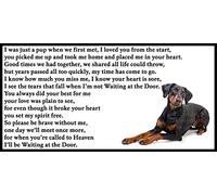 Doberman Pinscher Dog Bereavement pet Loss Sympathy Memorial Flexible Fridge Magnet - Waiting at The Door