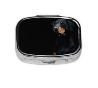 Doberman Pinscher Pets Dogs Black Dogs Doberman,Meta Pill Box 2 Compartment Medicine Case,Portable Organizer