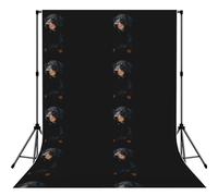 Doberman Pinscher Pets Dogs Black Dogs Doberman, Photography Backdrop Photo Props 5x7FT Photo Background for Party Home Decoration