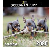 Doberman Puppies Calendar 2026: Adorable beginnings of fierce protectors and loving friends | Kalender Calendario Calendrier