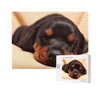 Doberman Puppy Sleeping Dogs Pets Dogs Doberman,500 Pieces Wooden Jigsaw Family Game Jigsaw Puzzles for Adults Teens Home Decor