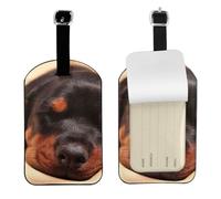 Doberman Puppy Sleeping Dogs Pets Dogs Doberman,Luggage Tags Pu Leather Name Tag Travel Suitcase Identifier ID Tags Durable Baggage Label 2 pcs