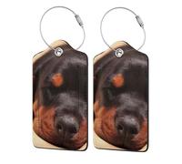 Doberman Puppy Sleeping Dogs Pets Dogs Doberman,Luggage Tags Pu Leather Name Tag Travel Suitcase Identifier ID Tags Durable Luggage Label 2 pcs