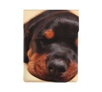 Doberman Puppy Sleeping Dogs Pets Dogs Doberman, PU Leather Laptop Sleeve, Notebook Bag Laptop Case Sleeve Tablet Briefcase