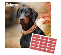 Dobermann Calendar 2026 | Square Dog Breed Wall Calendar | 16 Month Wall Calendar | September 2025 To December 2026 | With Free Organisational Stickers