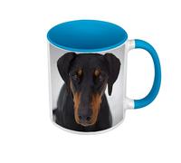 Dobermann Pincher Cute Sitting Waits Wisely for Pets Colour Mug with Handle and Coloured Interior Blue