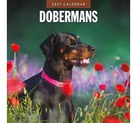 Dobermans - 2027 Square Wall Calendar - by Red Robin Publishing