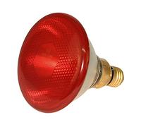 Doblit Infrared Heat Lamp Bulb 175W Poultry Breeding Brooding Chicks Puppies Pigs Livestock Wallaby Whelping. Red Infared Bulb x 1