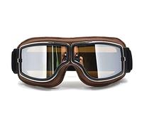 DOBRVVGT Motorcycle Goggles,Ski Goggles Cool Scooter Motocross Goggle Glasses Motorcycle Cycling Goggles Cruiser Steampunk ATV Bicycle Eyewear(BN frame silver lens)