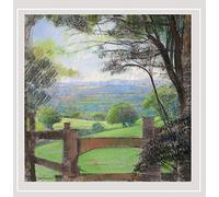 Doc Bowling and His Blues Professors - Black Country Boy