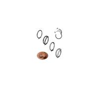Dochais 4PCS 18G Nose Rings Hoops, Surgical Steel Earrings Tragus Septum Piercing CZ Clicker Ring, Hinged Segment Conch Lip Cartilage Double Hoops 8mm 10mm for Women Men (Black-16G,8mm)