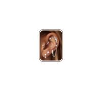 Dochais Gold/Silver Flatback Earrings Hypoallergenic Surgical Steel Silver Gold Stud Hoop Earrings Set Chain Earring Cartilage Tragus Helix Piercing Jewelry for Women
