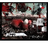 Doctor L - Wisdom Of Life