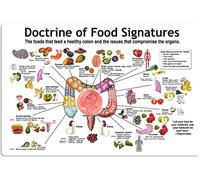 Doctrine Of Food Signatures Metal Tin Signs Wall DecorColon Knowledge Posters Nutritionist Reference Guide Plaques Vintage Aluminum Sign For Home Kitchen Office 8"x12"