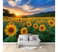 Documentary Flower Field Meadow Sunflower Vibrant Wall Mural 250 x 175 cm Green Non-Woven Photo Wallpaper, Large Wall Covering for Living Room & Bedroom, Paste the Wall