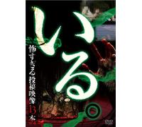 Documentary - Iru. Kowasugiru Toko Eizo 13 Bon - Vol.4 [Japan DVD] TOK-D0018
